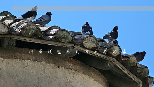 闪易钱包系列有逾期的吗 闪易钱包系列有逾期的吗