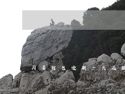 闪易钱包逾期一天还能下吗 闪易钱包逾期一天还能下吗
