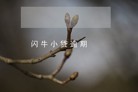 闪牛小贷逾期 闪牛小贷逾期