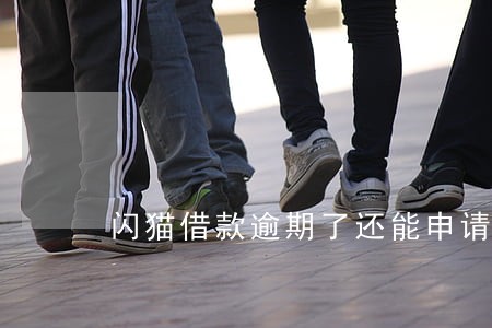 闪猫借款逾期了还能申请续期吗 闪猫借款逾期了还能申请续期吗