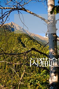 闪猫逾期多久爆通讯录