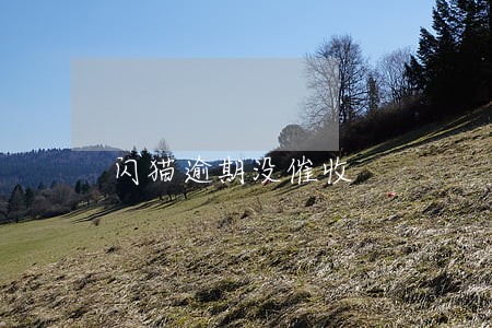 闪猫逾期没催收 闪猫逾期没催收