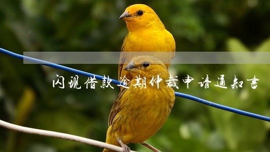 闪现借款逾期仲裁申请通知书 闪现借款逾期仲裁申请通知书