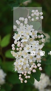闪现贷逾期多长时间爆通讯录 闪现贷逾期多长时间爆通讯录