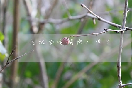 闪现贷逾期快1年了 闪现贷逾期快1年了