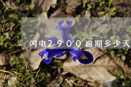 闪电2900逾期多少天