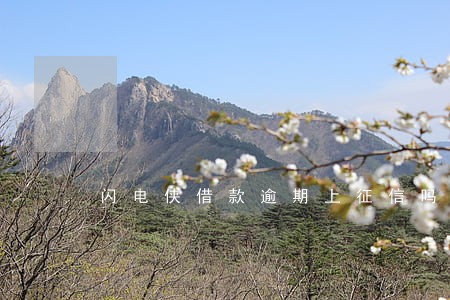 闪电侠借款逾期上征信吗 闪电侠借款逾期上征信吗
