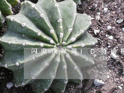 闪电侠苹果ID贷逾期 闪电侠苹果ID贷逾期