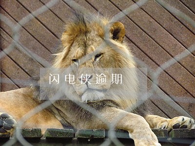 闪电侠逾期 闪电侠逾期