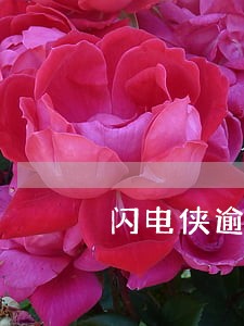 闪电侠逾期一天 闪电侠逾期一天