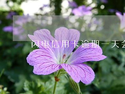 闪电信用卡逾期一天会上征信吗 闪电信用卡逾期一天会上征信吗