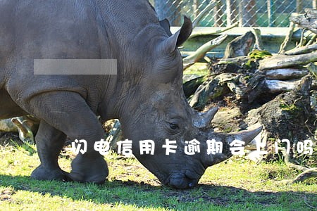 闪电信用卡逾期会上门吗 闪电信用卡逾期会上门吗