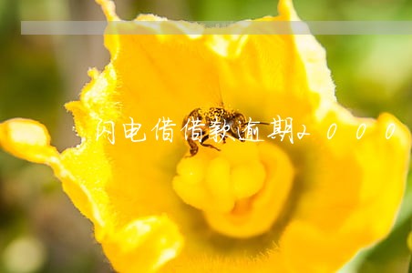 闪电借借款逾期2000 闪电借借款逾期2000