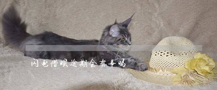 闪电借呗逾期会有事吗 闪电借呗逾期会有事吗