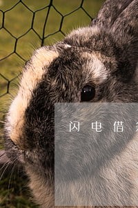 闪电借条逾期 闪电借条逾期