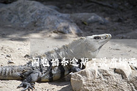 闪电借条逾期了没有钱还了咋办 闪电借条逾期了没有钱还了咋办