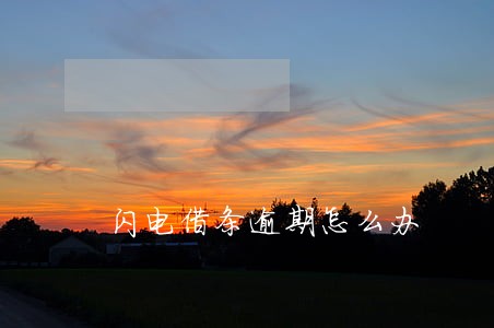 闪电借条逾期怎么办 闪电借条逾期怎么办