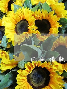 闪电借款1000元逾期4年 闪电借款1000元逾期4年