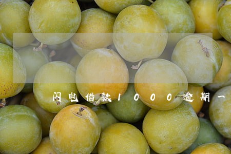 闪电借款1000逾期一年 闪电借款1000逾期一年