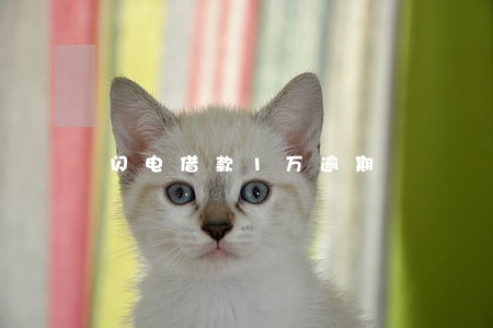 闪电借款1万逾期 闪电借款1万逾期