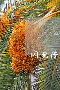 闪电借款20000逾期 闪电借款20000逾期