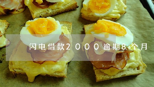 闪电借款2000逾期8个月 闪电借款2000逾期8个月