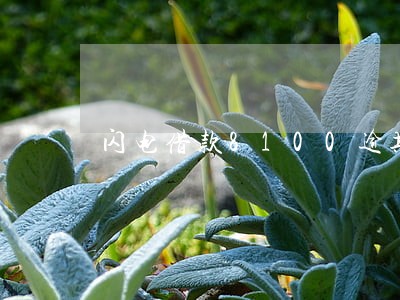 闪电借款8100逾期