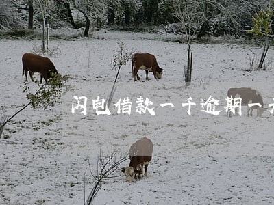 闪电借款一千逾期一天多少钱 闪电借款一千逾期一天多少钱