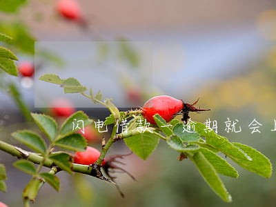 闪电借款一逾期就会上征信吗 闪电借款一逾期就会上征信吗