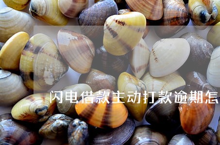 闪电借款主动打款逾期怎么弄 闪电借款主动打款逾期怎么弄