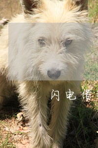闪电借款以前逾期现在有额度 闪电借款以前逾期现在有额度