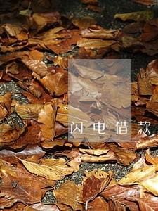 闪电借款以前逾期过2年 闪电借款以前逾期过2年