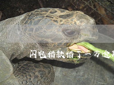 闪电借款借了一万逾期了 闪电借款借了一万逾期了