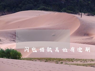 闪电借款其他有逾期 闪电借款其他有逾期