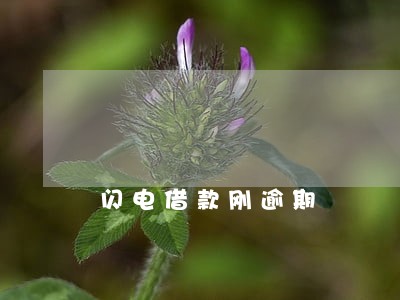 闪电借款刚逾期 闪电借款刚逾期