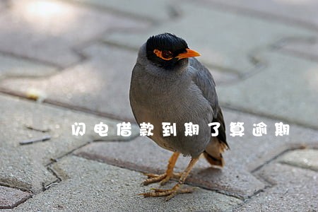 闪电借款到期了算逾期 闪电借款到期了算逾期