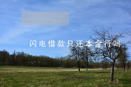 闪电借款只还本金行吗 闪电借款只还本金行吗