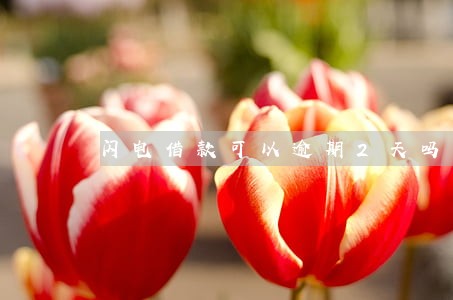闪电借款可以逾期2天吗 闪电借款可以逾期2天吗