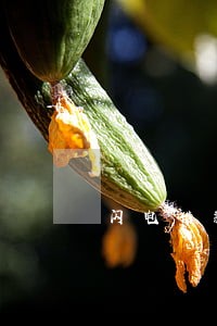 闪电借款吧逾期 闪电借款吧逾期