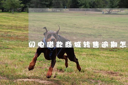 闪电借款商城转售逾期怎么样 闪电借款商城转售逾期怎么样