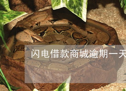 闪电借款商城逾期一天会催收 闪电借款商城逾期一天会催收