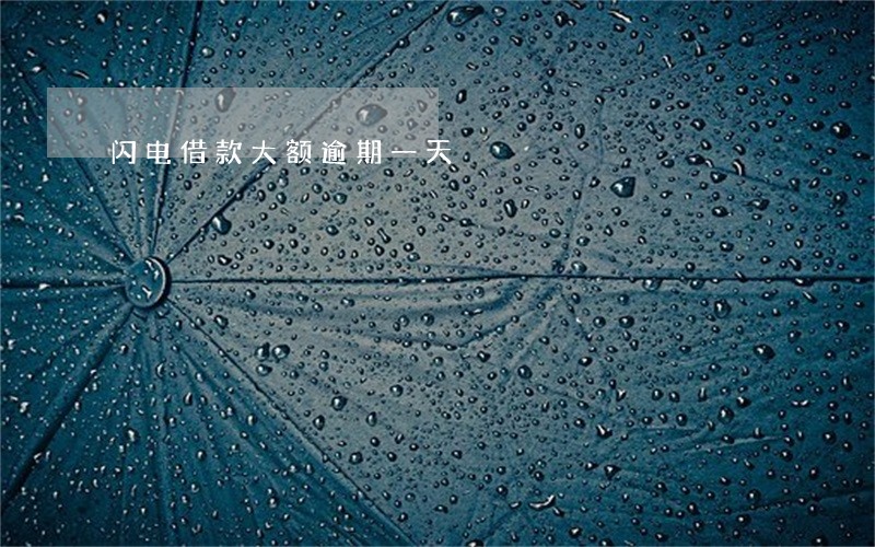 闪电借款大额逾期一天 闪电借款大额逾期一天
