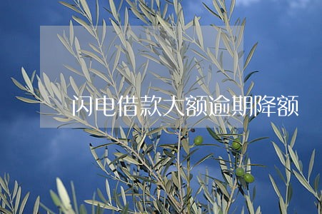 闪电借款大额逾期降额 闪电借款大额逾期降额