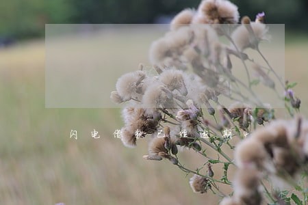 闪电借款已经逾期4 闪电借款已经逾期4