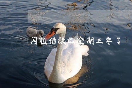 闪电借款已逾期三年了 闪电借款已逾期三年了
