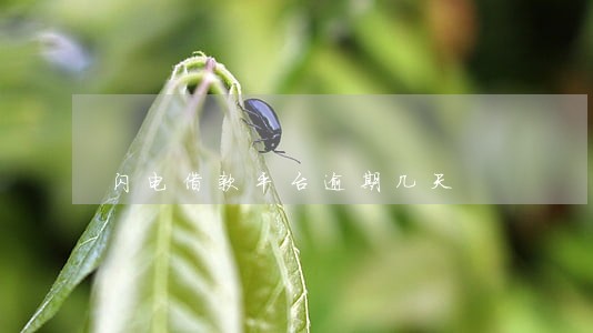 闪电借款平台逾期几天