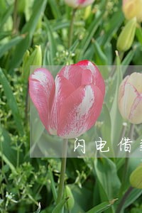 闪电借款快鱼分期逾期 闪电借款快鱼分期逾期