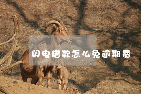 闪电借款怎么免逾期费 闪电借款怎么免逾期费