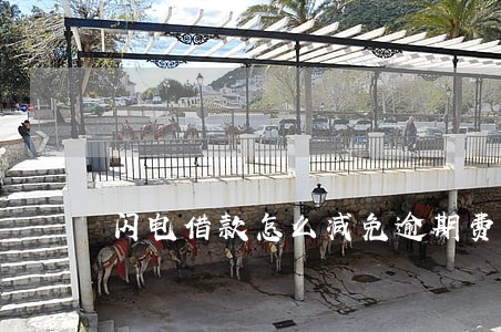 闪电借款怎么减免逾期费 闪电借款怎么减免逾期费