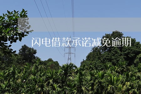 闪电借款承诺减免逾期 闪电借款承诺减免逾期